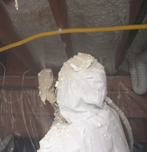  NH crawl space insulation